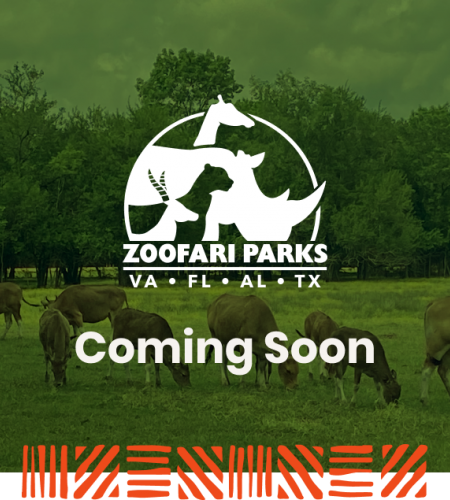 zoo safari kaufman tx
